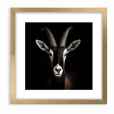 Elegant Black Antelope Wildlife Art – Captivating Antelope Canvas Prints