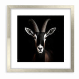 Elegant Black Antelope Wildlife Art – Captivating Antelope Canvas Prints
