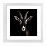 Elegant Black Antelope Wildlife Art – Captivating Antelope Canvas Prints