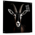 Elegant Black Antelope Wildlife Art – Captivating Antelope Canvas Prints