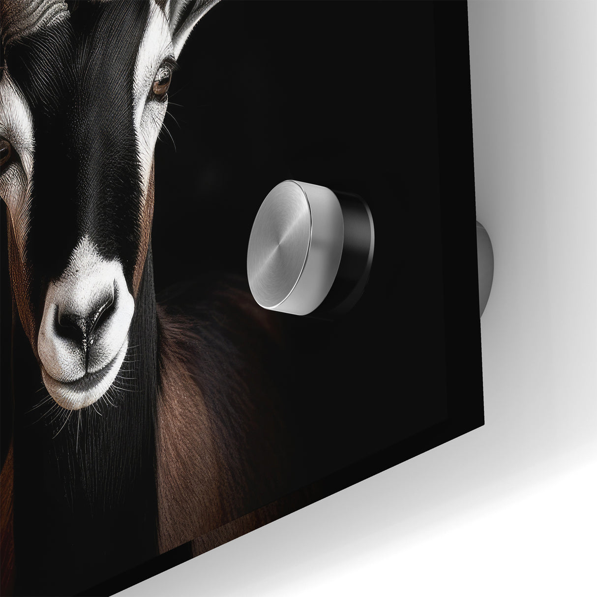 Elegant Black Antelope Wildlife Art – Captivating Antelope Canvas Prints