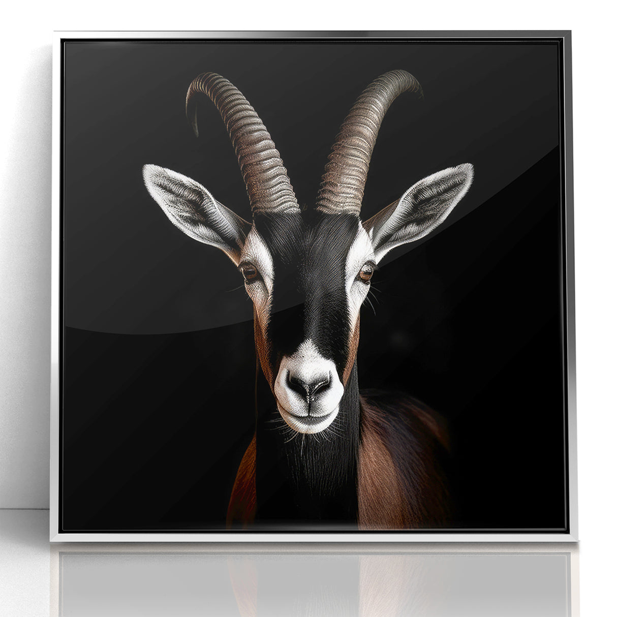 Elegant Black Antelope Wildlife Art – Captivating Antelope Canvas Prints