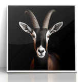Elegant Black Antelope Wildlife Art – Captivating Antelope Canvas Prints