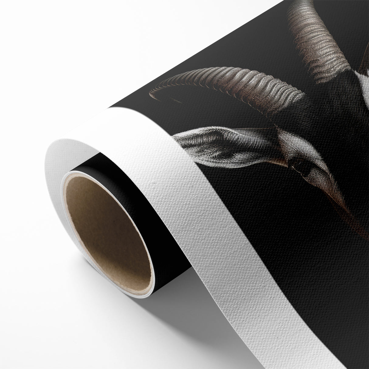 Elegant Black Antelope Wildlife Art – Captivating Antelope Canvas Prints
