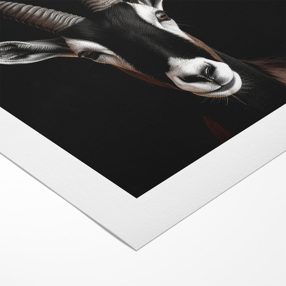 Elegant Black Antelope Wildlife Art – Captivating Antelope Canvas Prints
