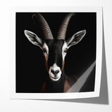 Elegant Black Antelope Wildlife Art – Captivating Antelope Canvas Prints