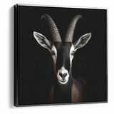 Elegant Black Antelope Wildlife Art – Captivating Antelope Canvas Prints