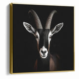 Elegant Black Antelope Wildlife Art – Captivating Antelope Canvas Prints