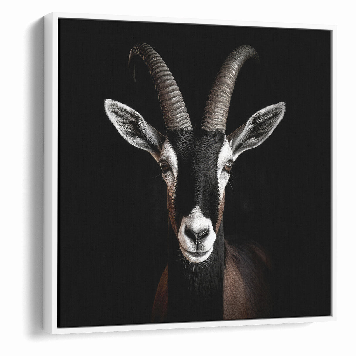 Elegant Black Antelope Wildlife Art – Captivating Antelope Canvas Prints