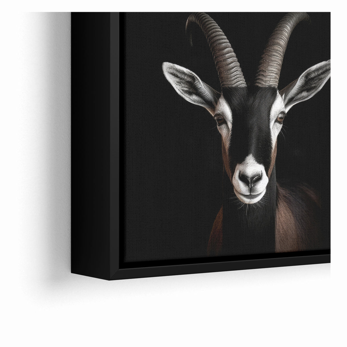 Elegant Black Antelope Wildlife Art – Captivating Antelope Canvas Prints