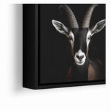Elegant Black Antelope Wildlife Art – Captivating Antelope Canvas Prints