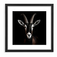Elegant Black Antelope Wildlife Art – Captivating Antelope Canvas Prints