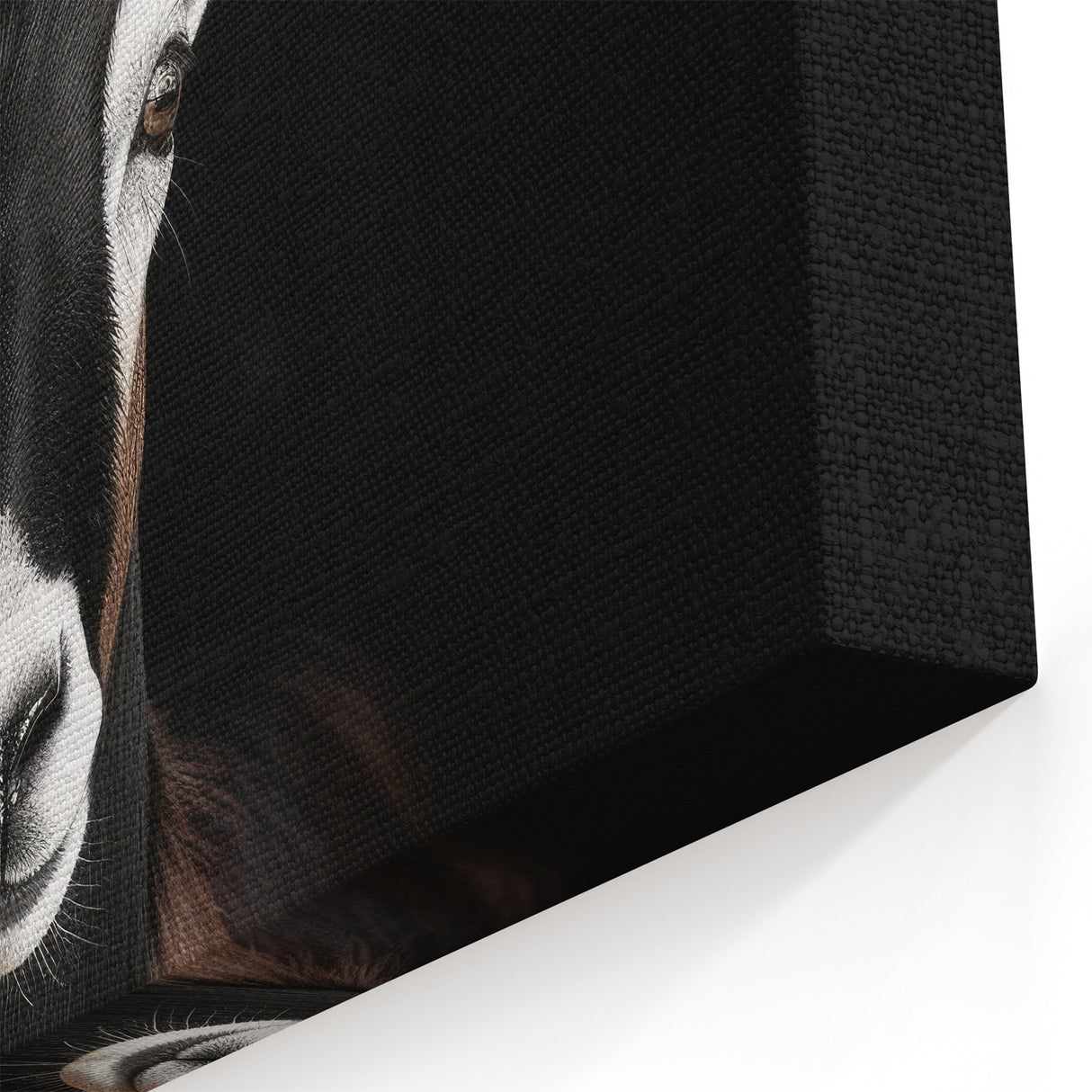 Elegant Black Antelope Wildlife Art – Captivating Antelope Canvas Prints