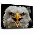 Fierce Birds of Prey Wall Art – Bald Eagle Screaming Canvas Print