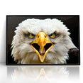 Fierce Birds of Prey Wall Art – Bald Eagle Screaming Canvas Print