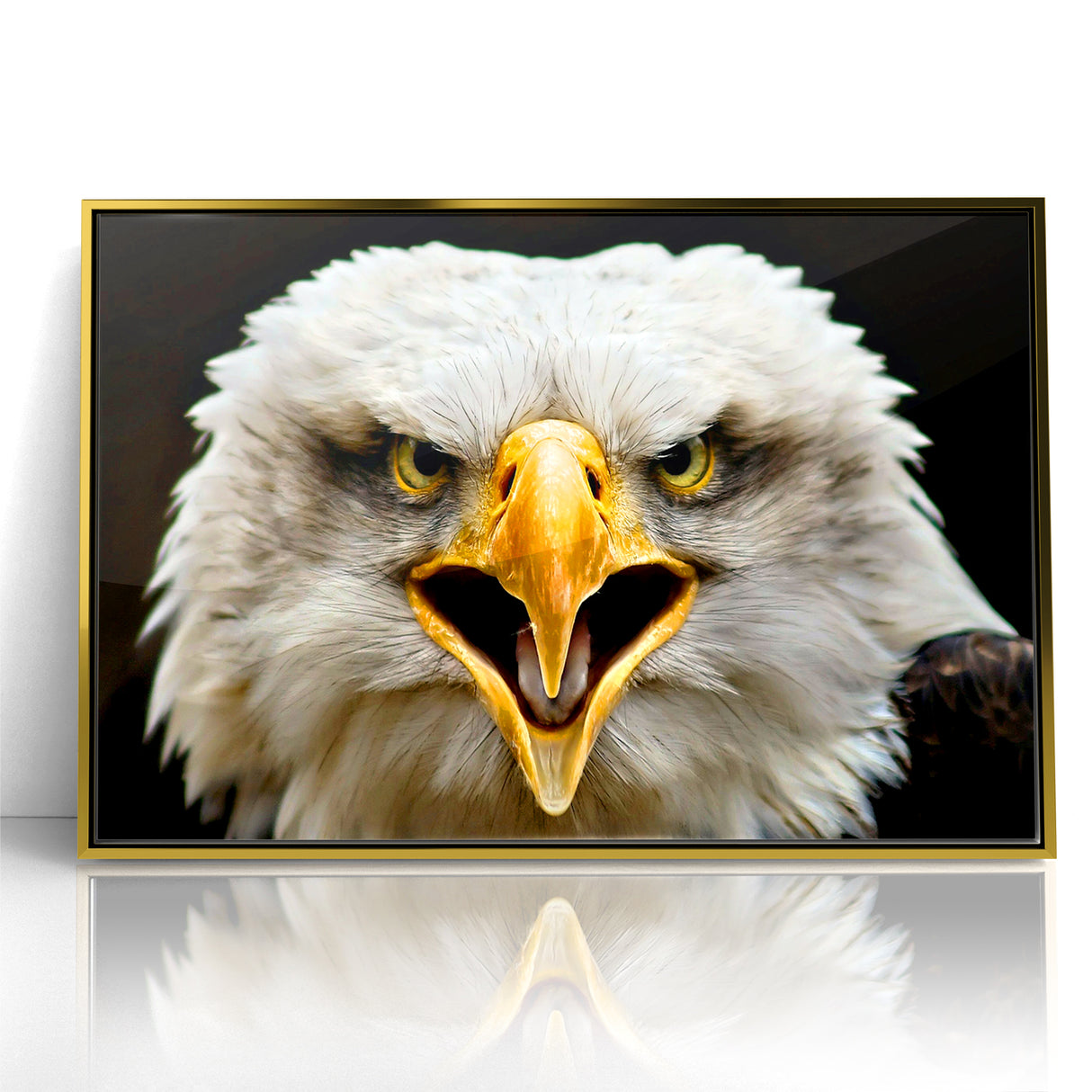 Fierce Birds of Prey Wall Art – Bald Eagle Screaming Canvas Print