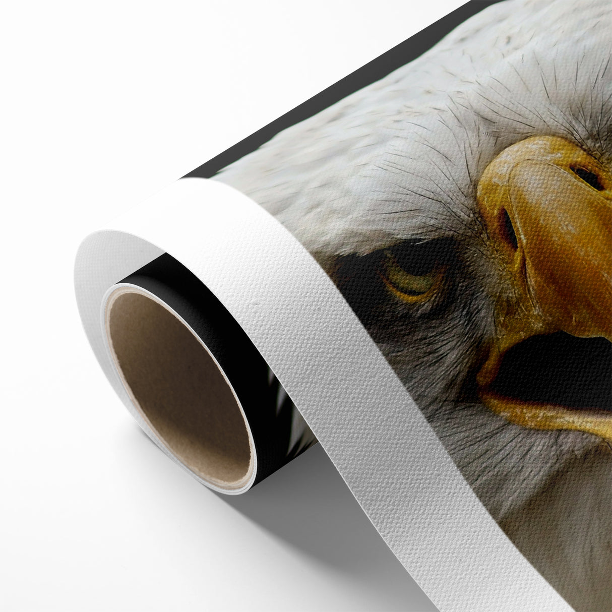 Fierce Birds of Prey Wall Art – Bald Eagle Screaming Canvas Print