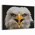 Fierce Birds of Prey Wall Art – Bald Eagle Screaming Canvas Print