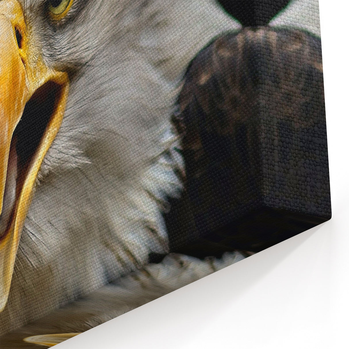 Fierce Birds of Prey Wall Art – Bald Eagle Screaming Canvas Print