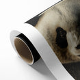 Charming Wildlife Wall Art – Panda Portrait Canvas Print