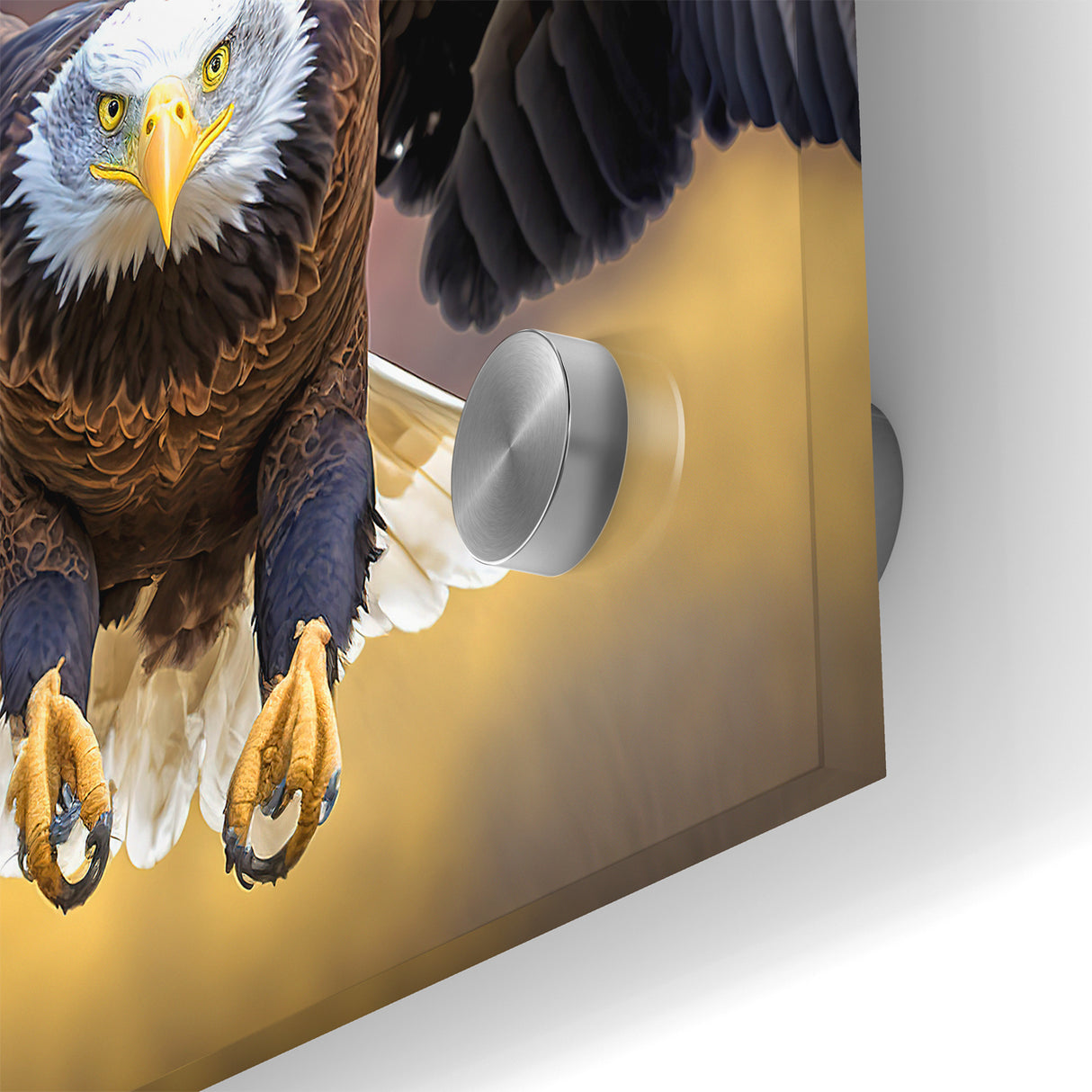 Majestic Birds of Prey Wall Art – Bald Eagle in Flight Canvas Print