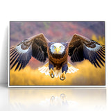 Majestic Birds of Prey Wall Art – Bald Eagle in Flight Canvas Print