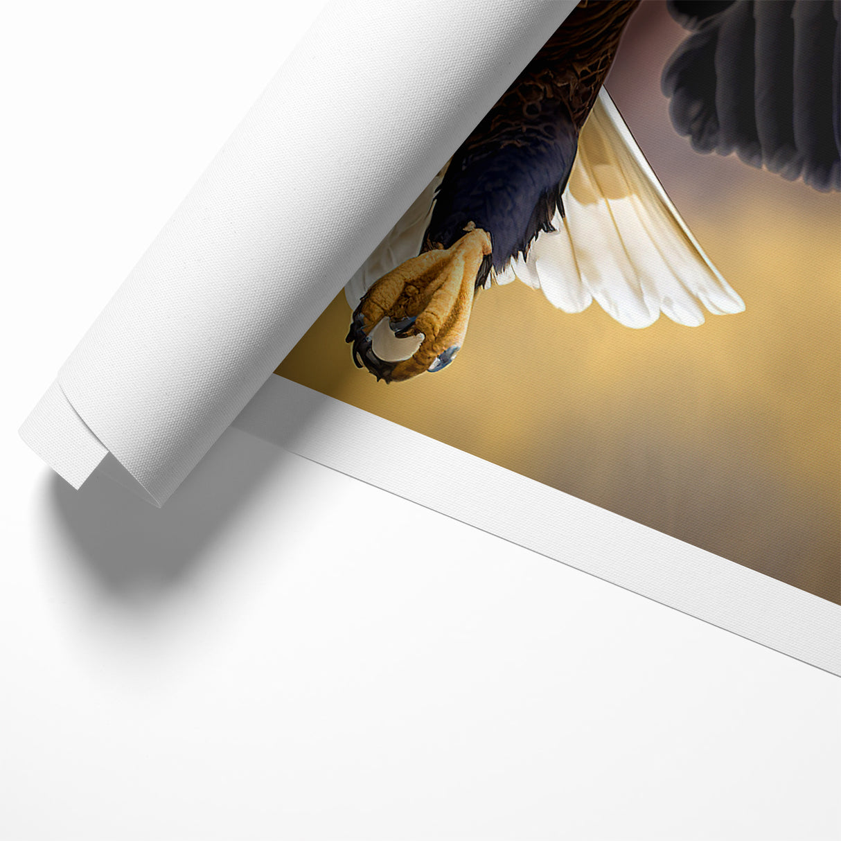 Majestic Birds of Prey Wall Art – Bald Eagle in Flight Canvas Print