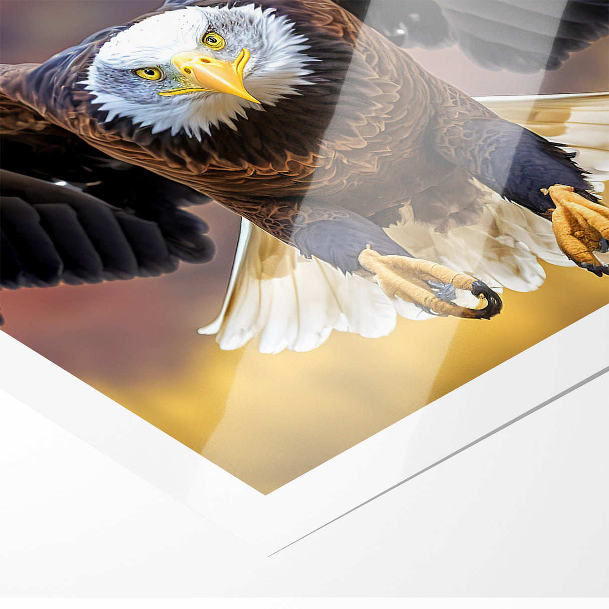Majestic Birds of Prey Wall Art – Bald Eagle in Flight Canvas Print