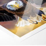 Majestic Birds of Prey Wall Art – Bald Eagle in Flight Canvas Print