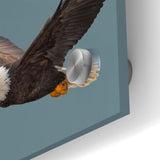Graceful Birds of Prey Wall Art – Bald Eagle in Flight Canvas Print