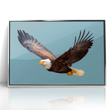 Graceful Birds of Prey Wall Art – Bald Eagle in Flight Canvas Print