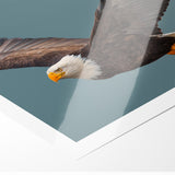 Graceful Birds of Prey Wall Art – Bald Eagle in Flight Canvas Print