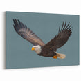 Graceful Birds of Prey Wall Art – Bald Eagle in Flight Canvas Print