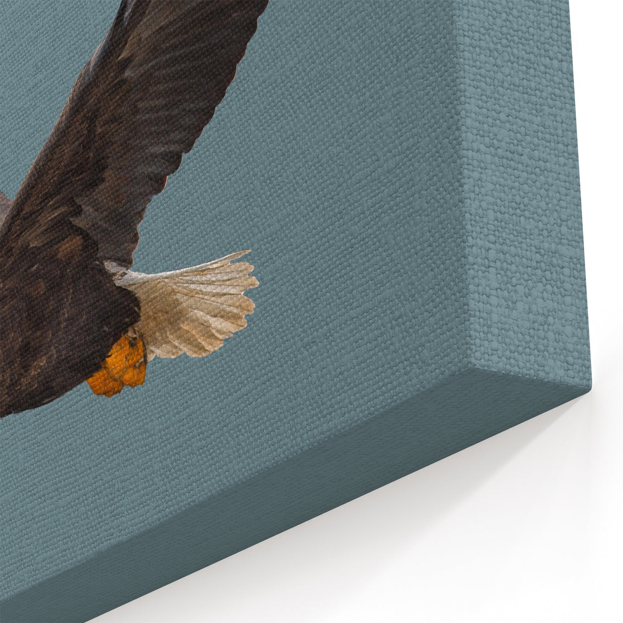 Graceful Birds of Prey Wall Art – Bald Eagle in Flight Canvas Print