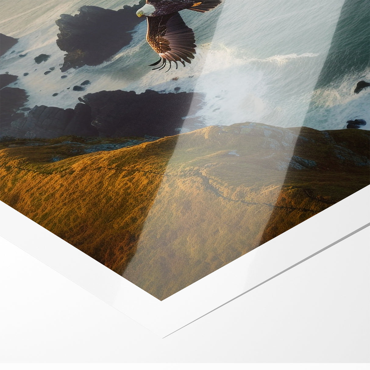 Majestic Birds of Prey Wall Art – Eagle Soaring Over Coastal Cliffs