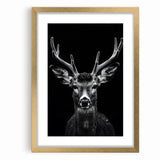 Striking Black Antelope Portrait – Majestic Wildlife Canvas Prints