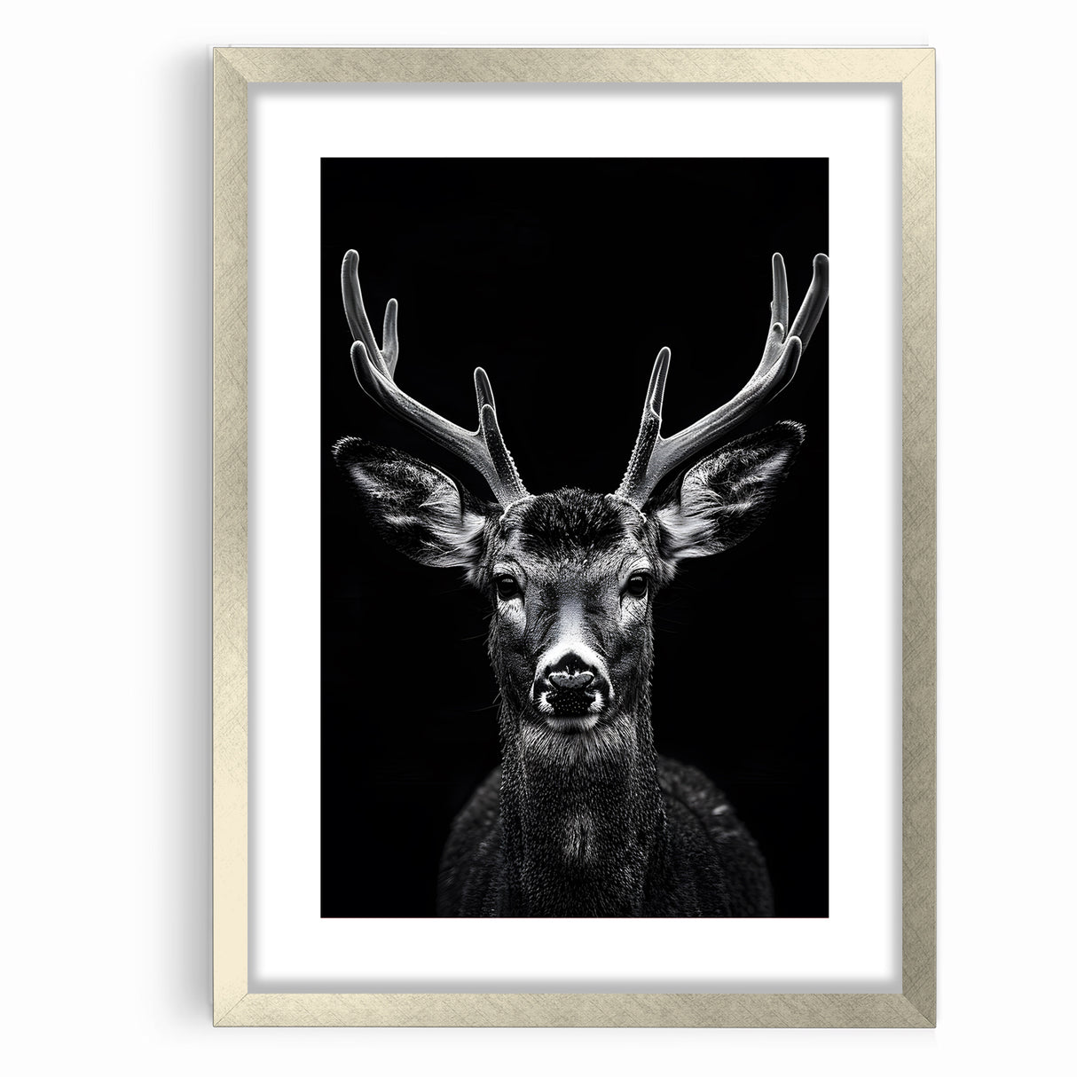 Striking Black Antelope Portrait – Majestic Wildlife Canvas Prints
