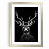 Striking Black Antelope Portrait – Majestic Wildlife Canvas Prints