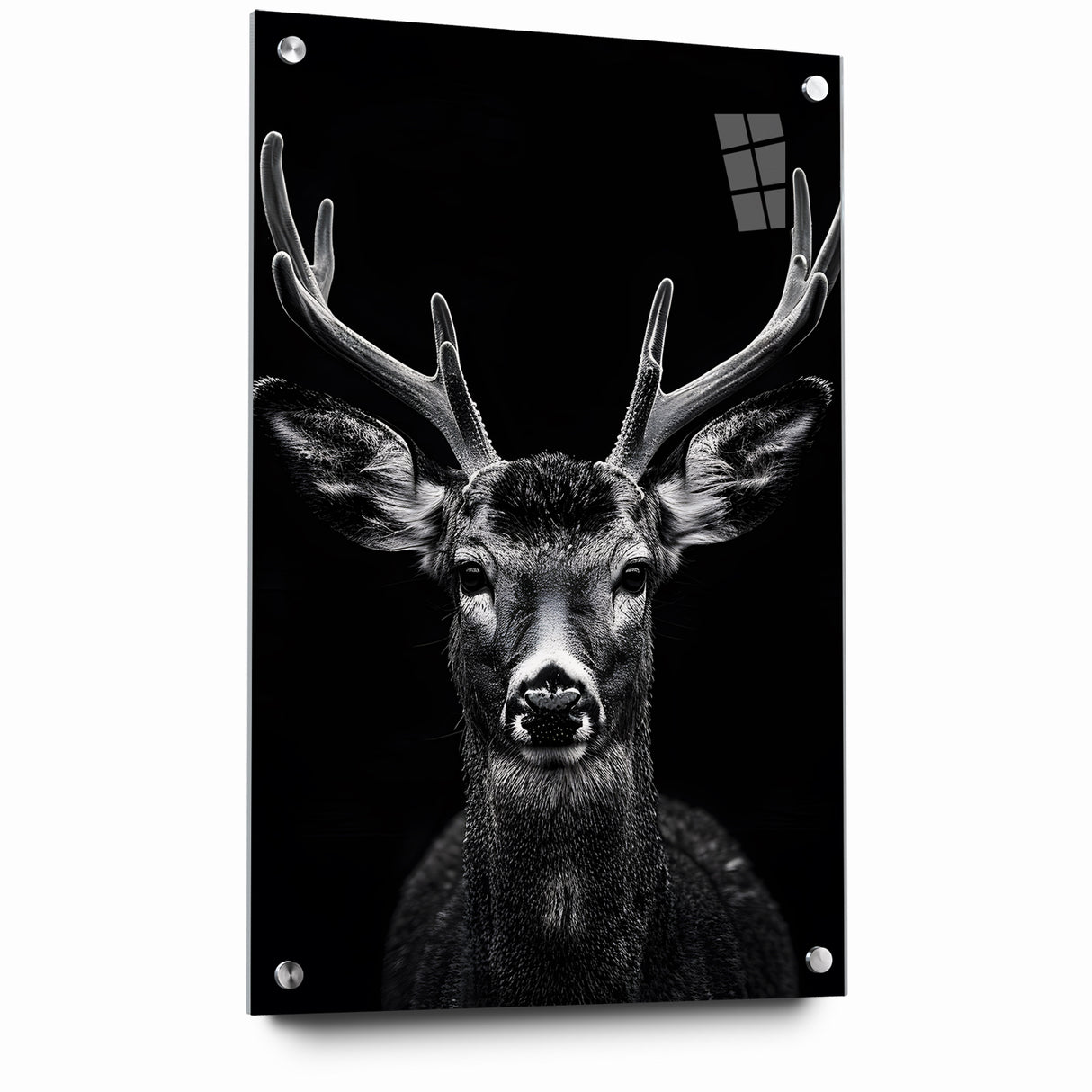 Striking Black Antelope Portrait – Majestic Wildlife Canvas Prints