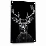Striking Black Antelope Portrait – Majestic Wildlife Canvas Prints