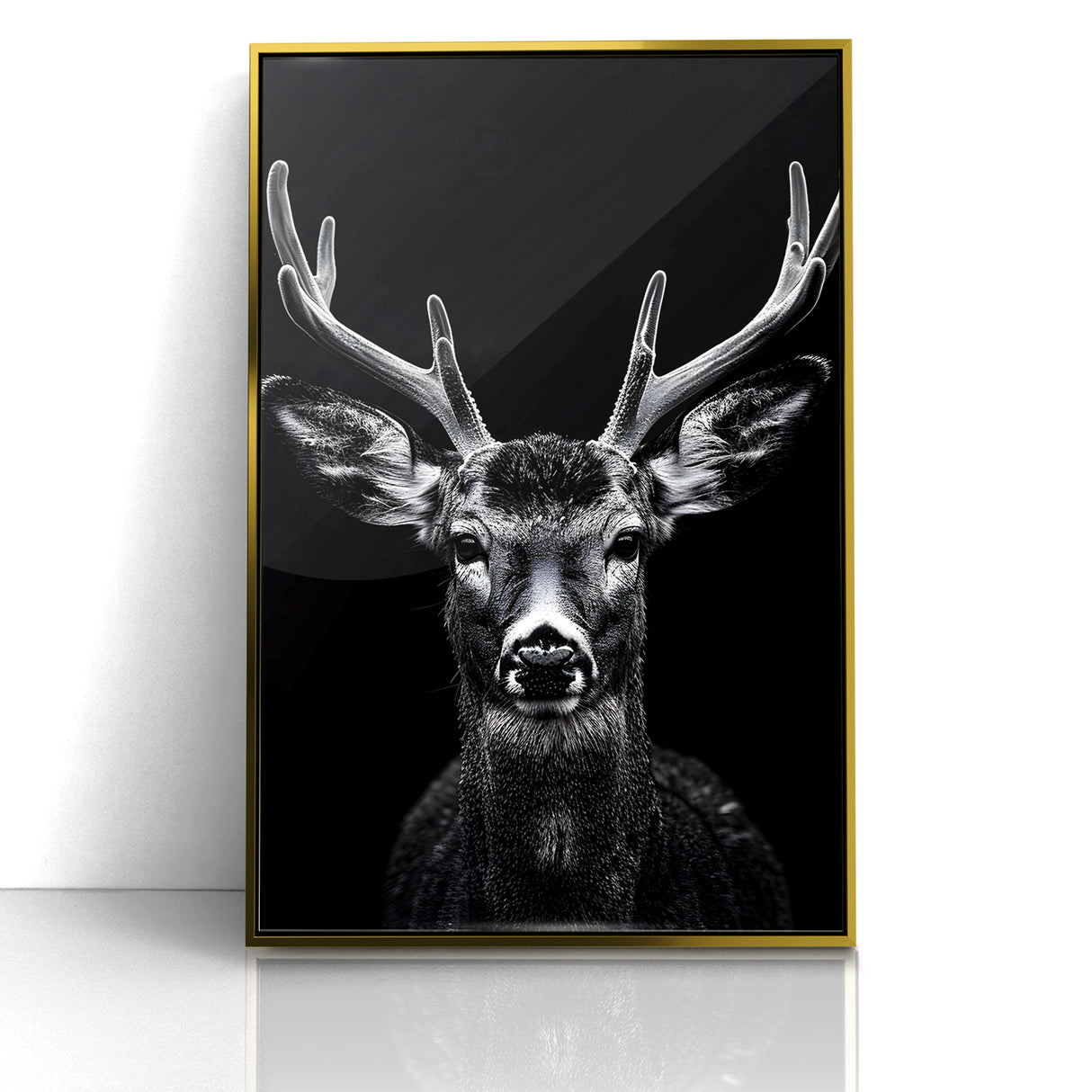 Striking Black Antelope Portrait – Majestic Wildlife Canvas Prints