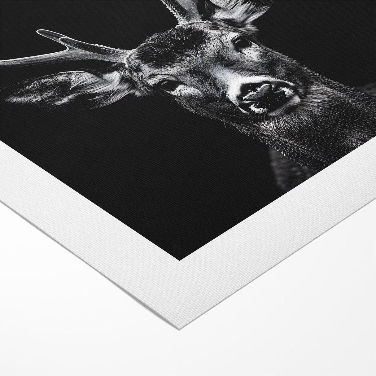 Striking Black Antelope Portrait – Majestic Wildlife Canvas Prints