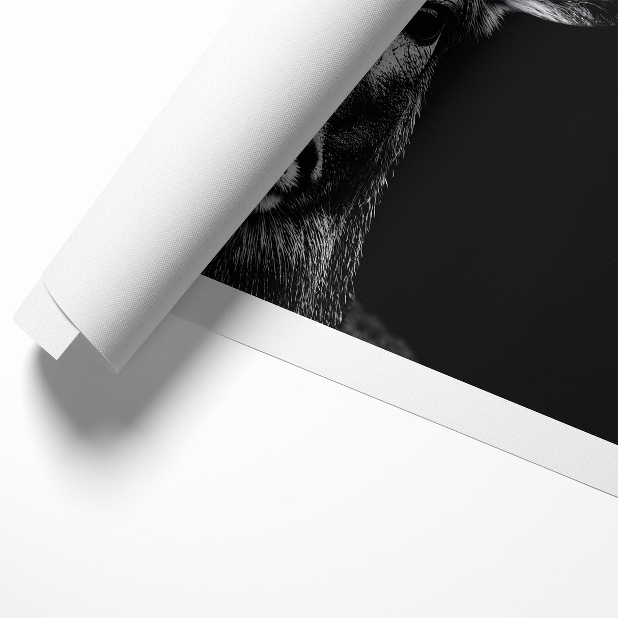 Striking Black Antelope Portrait – Majestic Wildlife Canvas Prints