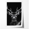Striking Black Antelope Portrait – Majestic Wildlife Canvas Prints