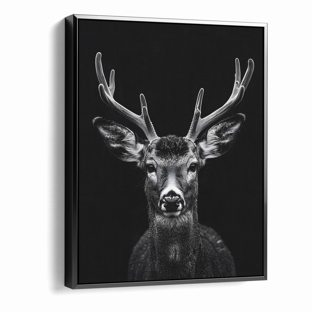 Striking Black Antelope Portrait – Majestic Wildlife Canvas Prints