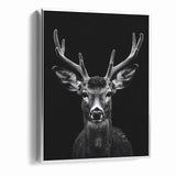 Striking Black Antelope Portrait – Majestic Wildlife Canvas Prints