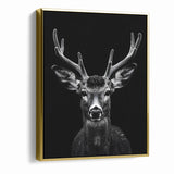 Striking Black Antelope Portrait – Majestic Wildlife Canvas Prints