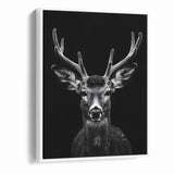 Striking Black Antelope Portrait – Majestic Wildlife Canvas Prints