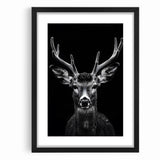Striking Black Antelope Portrait – Majestic Wildlife Canvas Prints