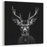 Striking Black Antelope Portrait – Majestic Wildlife Canvas Prints